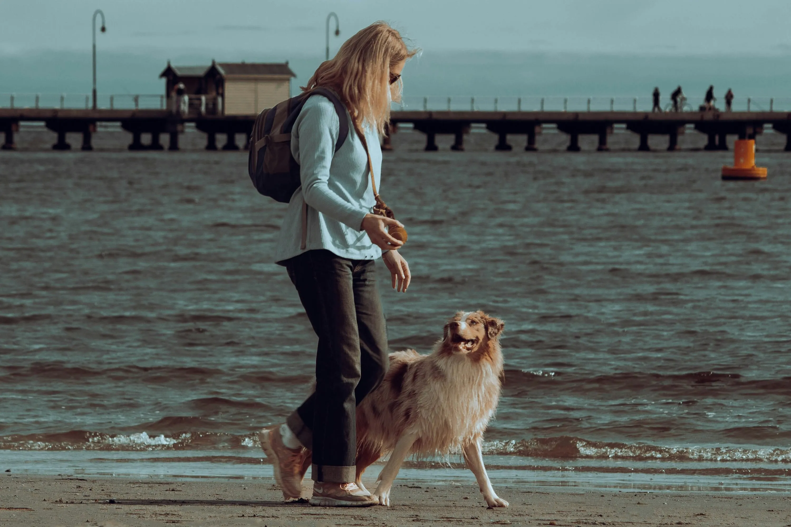 A woman holding a tennis ball walks along the beach beside a pier, an Australian shepherd looking up at her