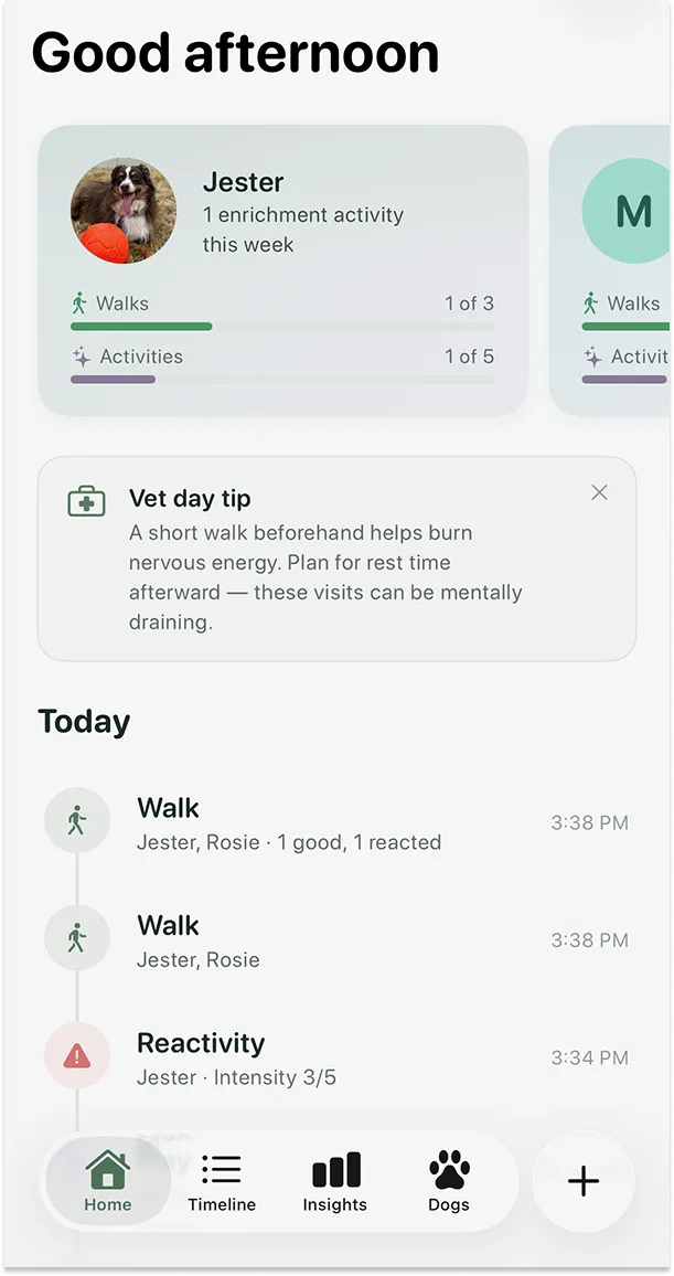 Stay on top of your dog's week.